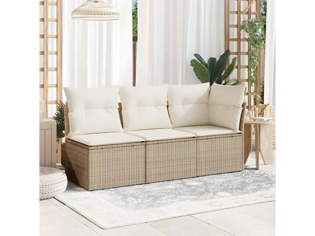 Beige Woven Resin Wicker Sofa
