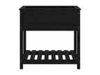 Black Solid Wood Home Furniture, 82.5 x 54 x 81 cm