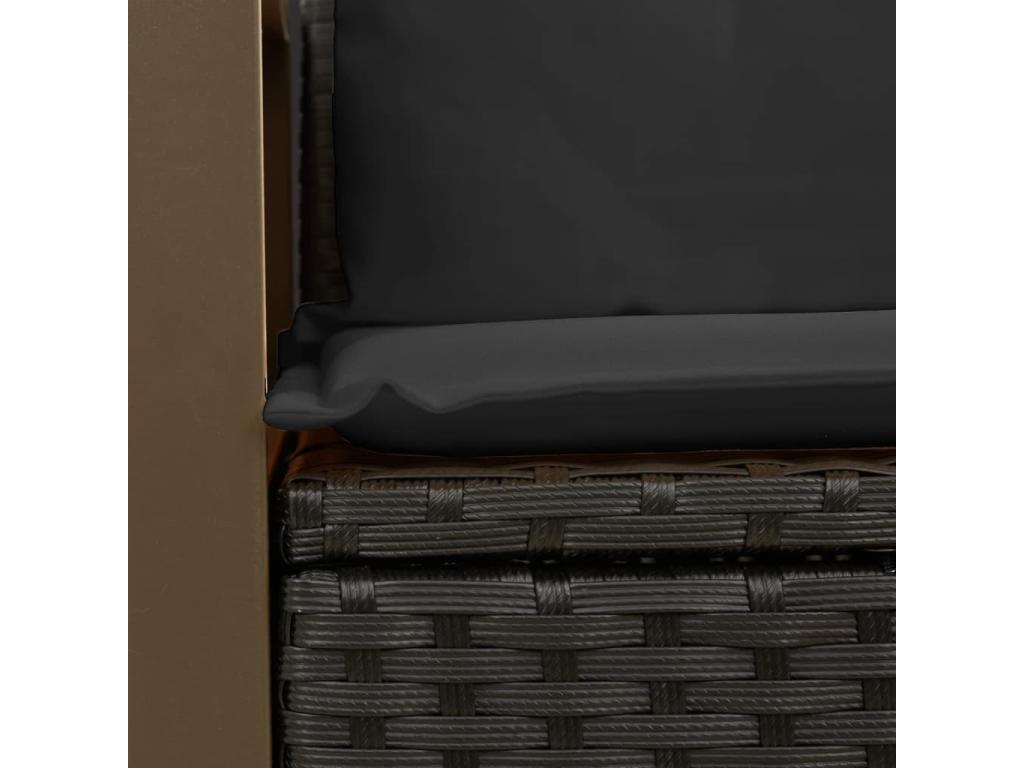 Black Woven Resin Wicker Sofa