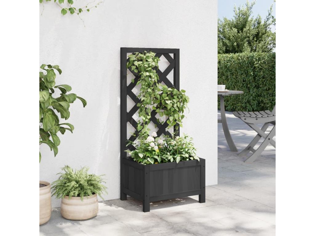 Black Solid Wood Home Furniture